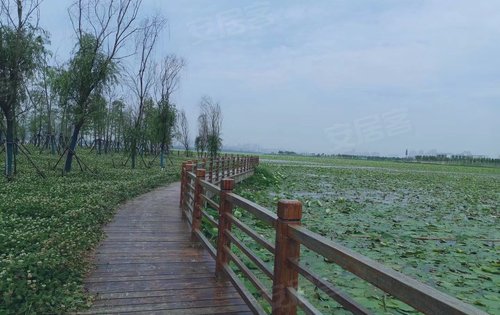 去项目周围黄家湖环湖绿道散散心