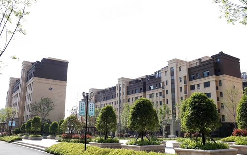 临沂楼盘 郯城县楼盘 郯城街道楼盘 联泰·中心城 楼盘动态