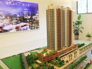 广州海珠江南西东华星域楼盘新房真实图片