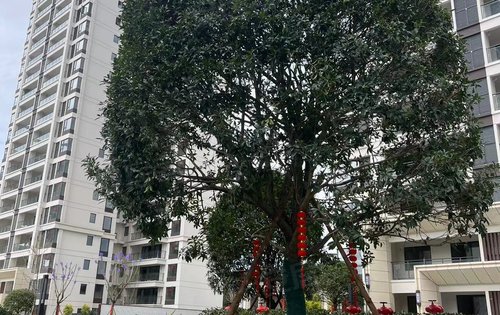 毕节安居客>毕节楼盘>金沙县楼盘>金沙县楼盘>金澜湾>楼盘动态>