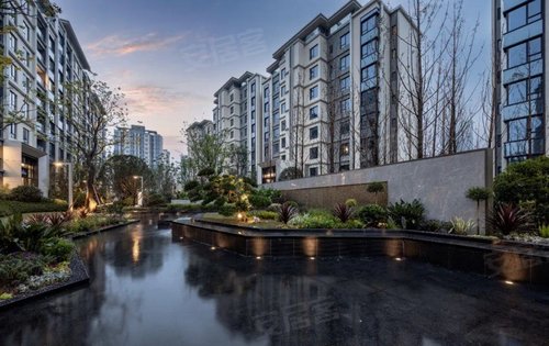 龙湖金帝天汇动态:龙湖绿化包括乌桕,水杉,南洋杉,无患子,樱花等多个