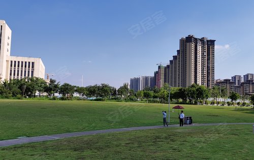 隆生鹿江花园家门口的湿地公园