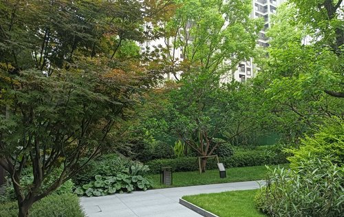 小区园林绿化景观