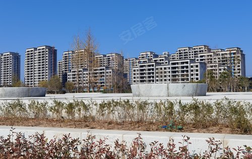 绿都·上林府动态:梦湖湿地公园目前正在建设中-郑州安居客