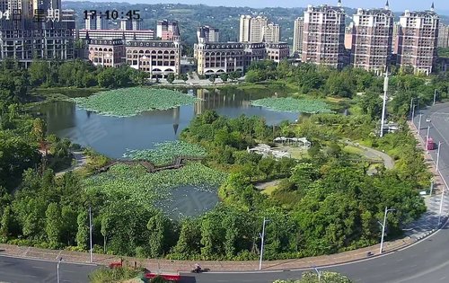 每天睁开眼就看到湿地公园,不要太美好!