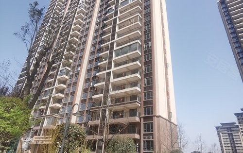 培文府高层采用板楼设计,坐北朝南,户户三开间朝南!