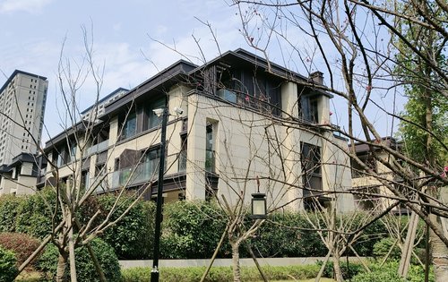 祥生交投悦江南动态:排屋实体样板房外立面-湖州安居客