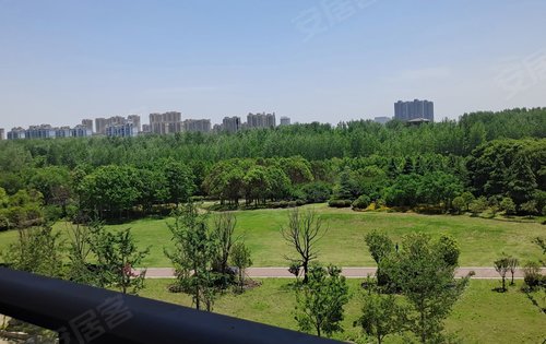 真正的公园里的家