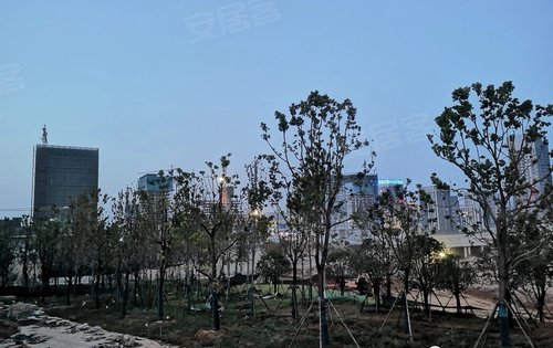 光谷中心城的新月溪公园豹子溪公园建设实景图