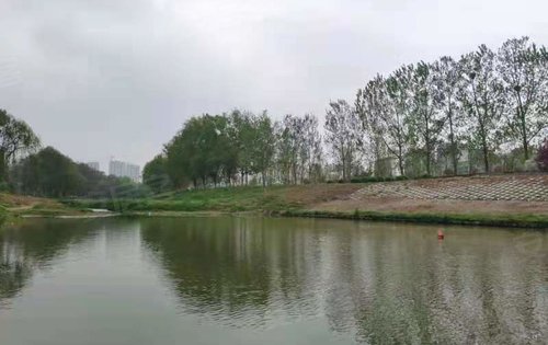郑州十七里河图片