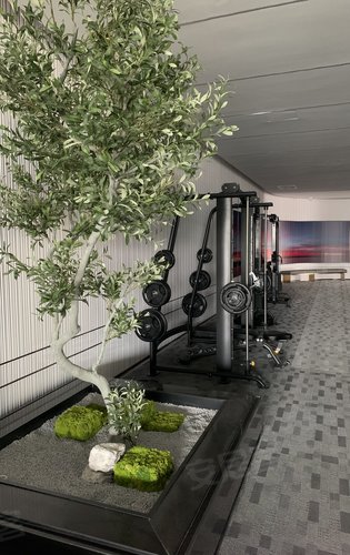 西派国樾项目s3会所,健身房器具已经到位-西安安居客