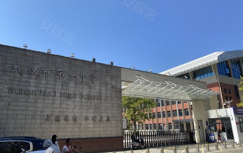 小区周边幼儿园到高中学校实拍