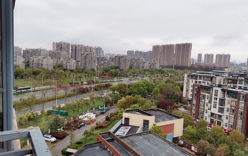 碧雲天周邊環境實拍,環湖路風景美如畫