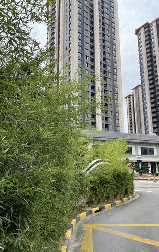 泗泾绿中海小区实景呈现