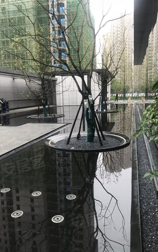 项目售楼部入口水景