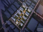 武汉蔡甸中法生态新城映月海棠楼盘新房真实图片