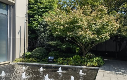 浅悦静庭,售楼处门口喷泉水景