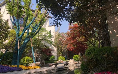 汉化-原山        一座小院便是一方天地,里面藏着一年四季的自然美景