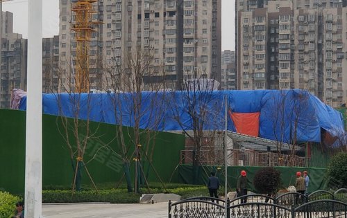 所有事项都井井有条地进行着