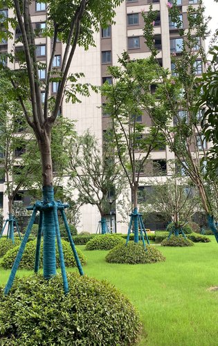 小区内宅间景观社区配套绿化景观万科翡翠东方楼盘点评(354)852021-08