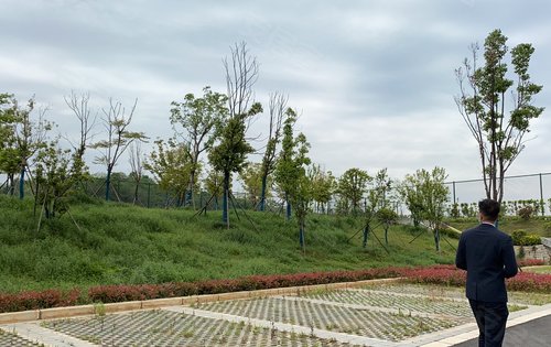 武汉龙山湖运动公园图片