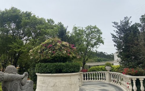 实地常春藤在售叠墅欢迎咨询