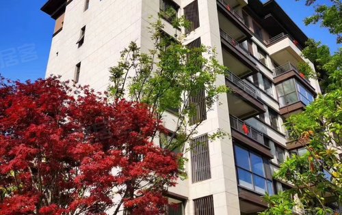 柘城建业春天里四期