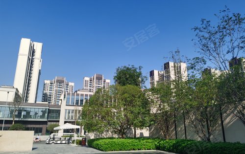 城投置地梧桐栖