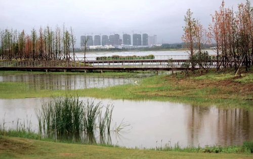 碧桂园欧洲城—皇庆湖湿地公园