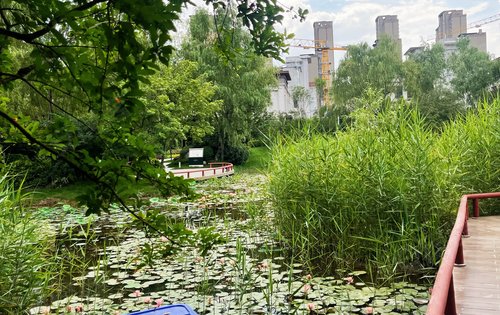 小区人工湖实景
