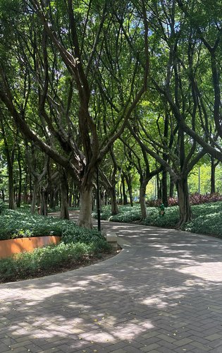 项目走路就能到达庄头公园,下班周末带孩子的好胜地-广州安居客