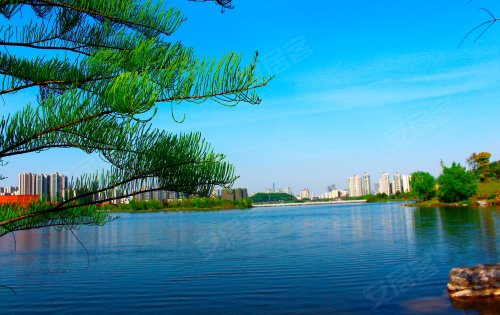 长沙西湖公园风景图片