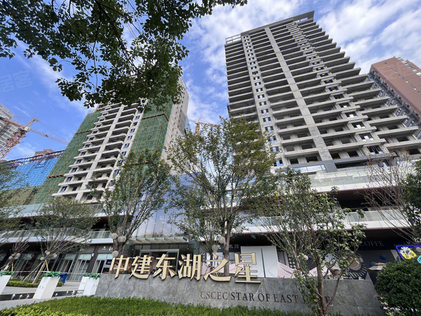 中建东湖之星,武汉中建东湖之星房价,楼盘户型,周边配套,交通地图,鲁磨路226号 - 安居客