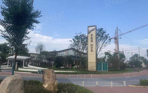 隆回碧桂园·翘楚棠