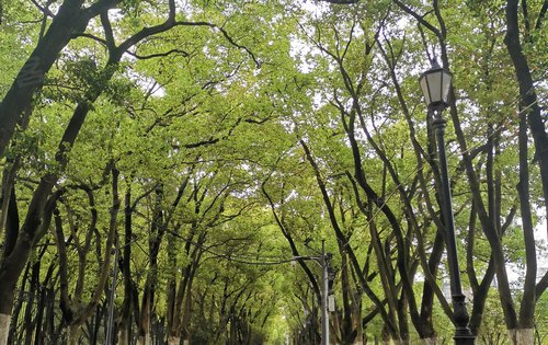 南昌中骏·世界城动态:家门口的湖滨公园-南昌安居客