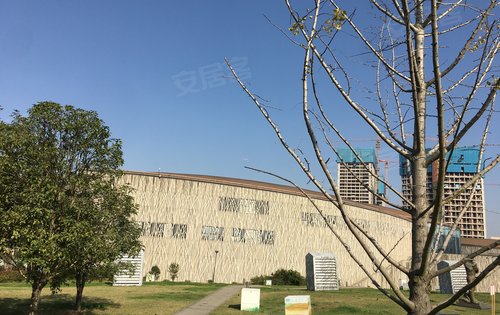 阳光正好微风不燥打卡隆平中央公园