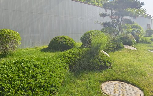 售楼部景观绿化展示