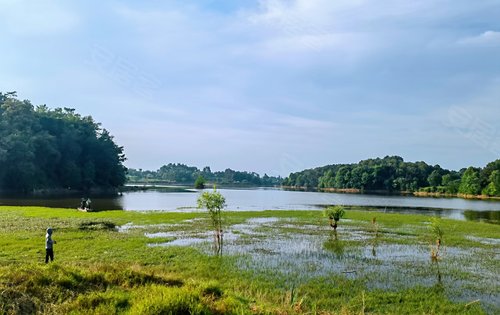 1200亩的妙音湖坐落于保利石象湖湖光生活中心后面,可以钓鱼哦