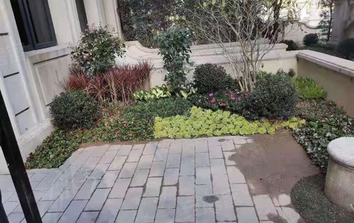 实地常春藤叠墅花园景观实拍,在售洋房97-138㎡,叠墅建面138-144,使用