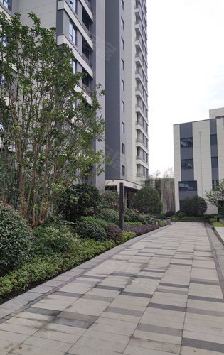 阳逻万达广场御江