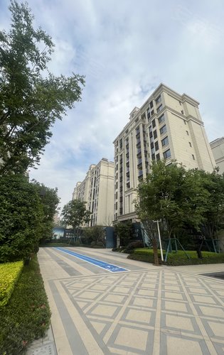 保利青江和府二期动态:一梯两户低密纯洋房实景图片,今年年底交房