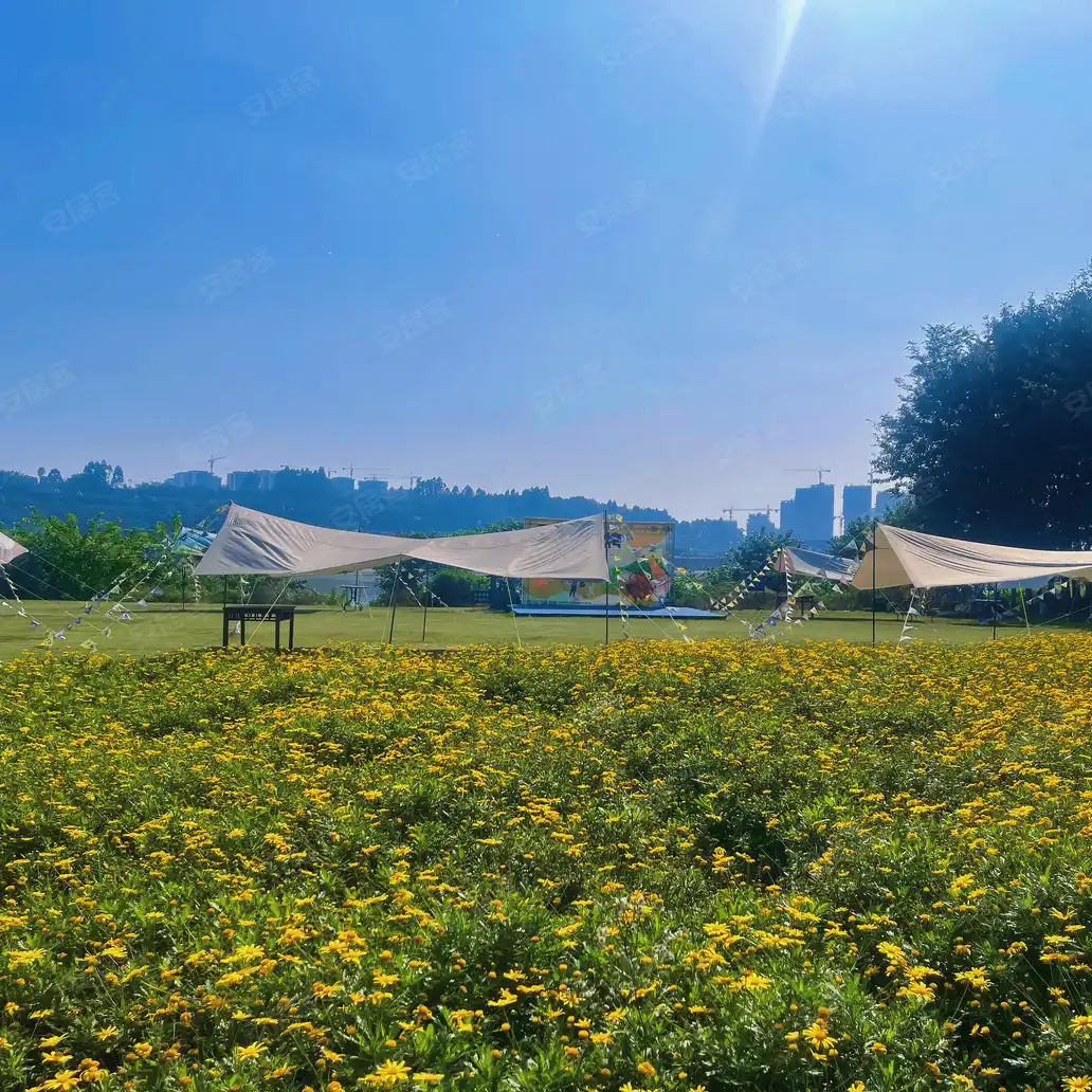 乐山立事达·滟澜洲春漫里楼盘开盘交房信息_销控信息_新闻活动信息