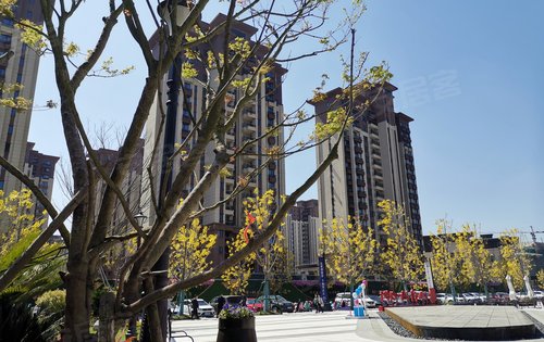 恒大溪上桃花源面积85124平均价12500