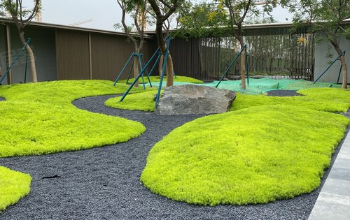 售楼处门口的绿化景观
