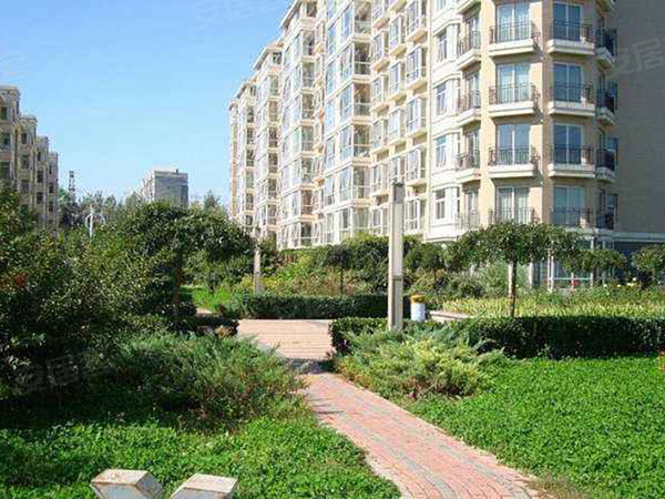 金桥花园,东营金桥花园房价,楼盘户型,周边配套,交通地图,利津利一路