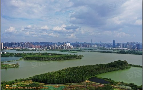 金銀湖溼地公園全景