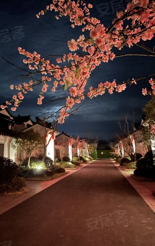 桃花源中式合院夜景美呆了