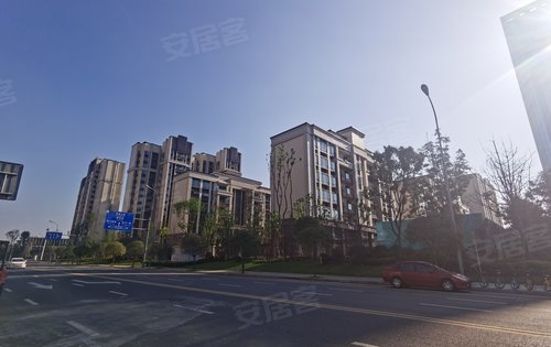城投置地梧桐栖动态:小区绿化好,楼间距开阔-成都安居客