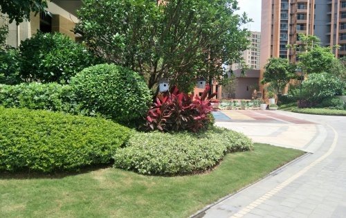 惠州楼盘 仲恺区楼盘 陈江楼盘 海伦香洲花园 楼盘动态