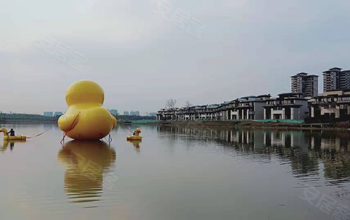 保利湖心岛填湖事件图片